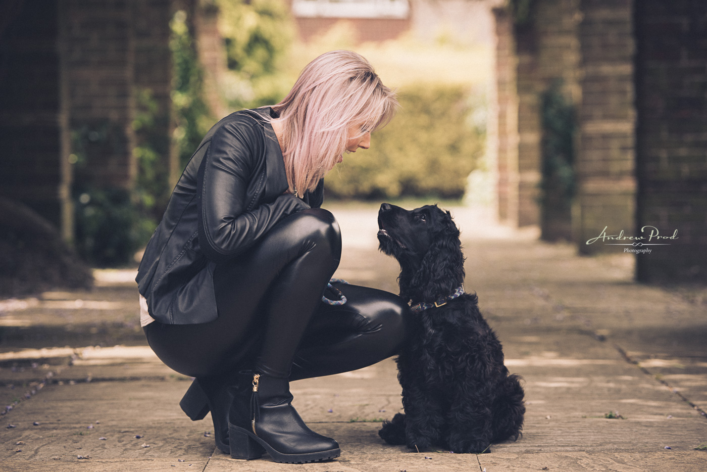 Dog photographer London