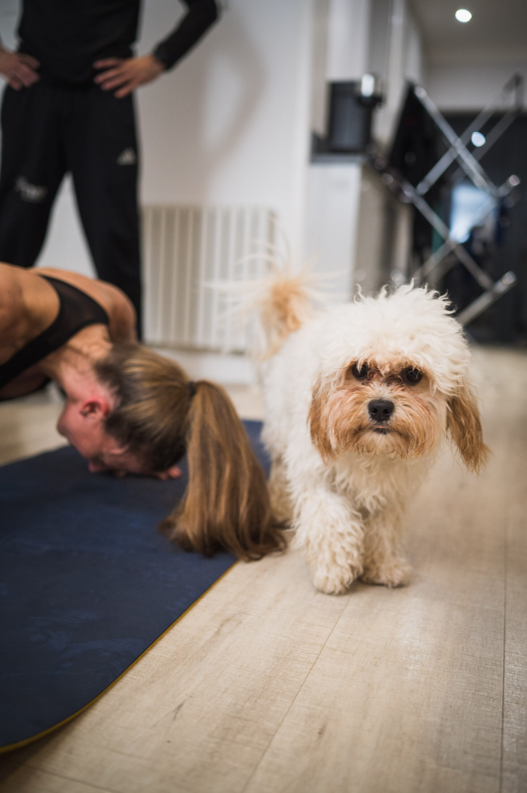 Personal trainer 