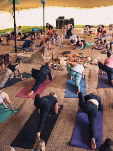 Group of people posing at a yoga festival